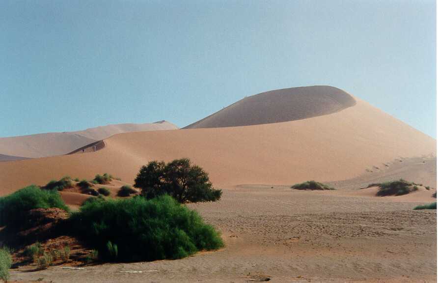 073 duin by Sossusvlei.jpg (33162 bytes)