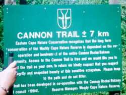 (16) Cannon Rocks - die begin van die staproete.jpg (17321 bytes)
