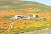 Namaqualand 2015