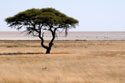 View of the Etosha Pan