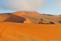 Namib ghosts